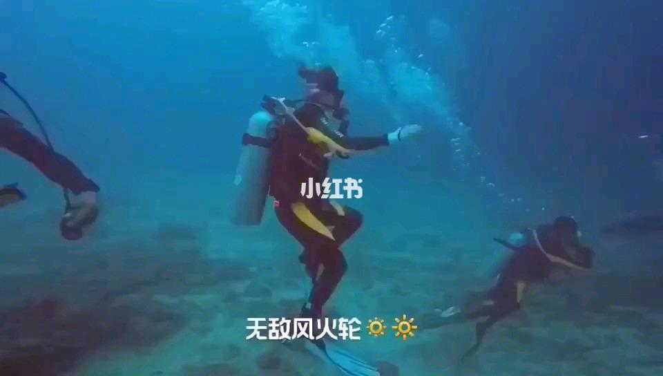 小鸟快跑